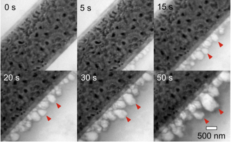 ��һ�˶���(B-Sports)�ٷ���վ-B����