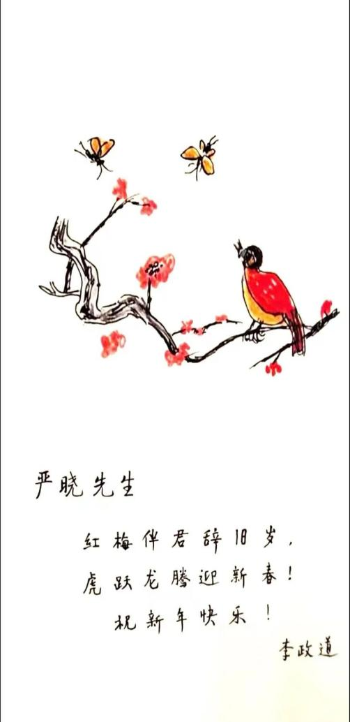 ��һ�˶���(B-Sports)�ٷ���վ-B����